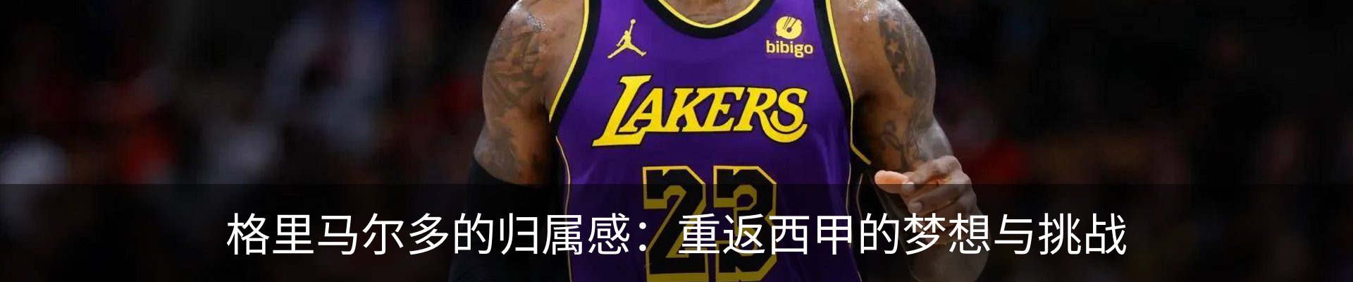 新闻动态
